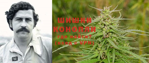 spice Алексин