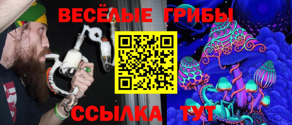 Ярцево  Псилоцибиновые грибы ЛСД  Вход с VPN 